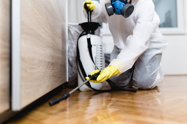 Best Best Pest Control Companies  in Rowlett, TX