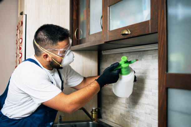 Best Mosquito Control Services  in Rowlett, TX