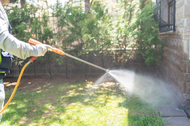 Best Best Pest Control Companies  in Rowlett, TX