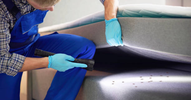 Best Exterminator Services  in Rowlett, TX
