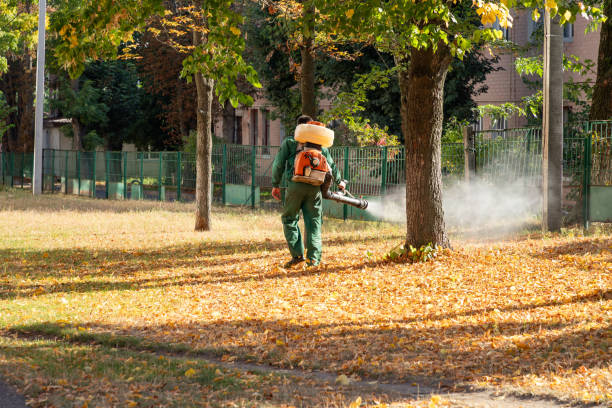 Best Rat Extermination Near Me  in Rowlett, TX