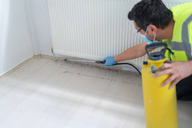 Professional Pest Control in Rowlett, TX