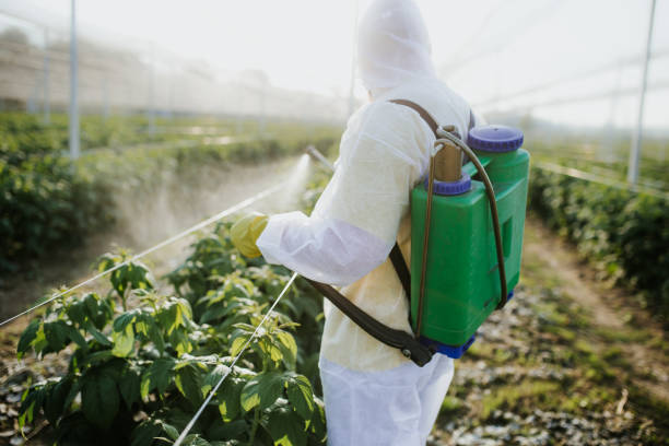 Best Cockroach Control Services  in Rowlett, TX